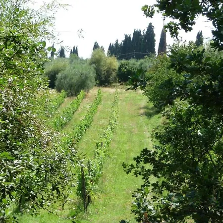 Peccioli Family Retreat Molino Mazzetti